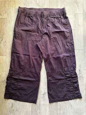 XCVI Burgundy Wide Leg Cropped Pull-On Pants in Purple‎ Plum Size 1X